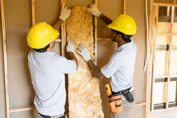 Professional Insulation in Arlington, OH